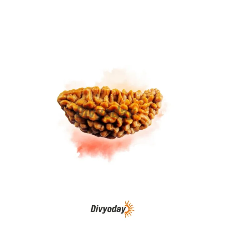 1 Mukhi Rudraksha – Experience Divine Blessings and Spiritual Growth