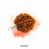 2 Mukhi Rudraksha – Strengthen Bonds and Attain Inner Harmony