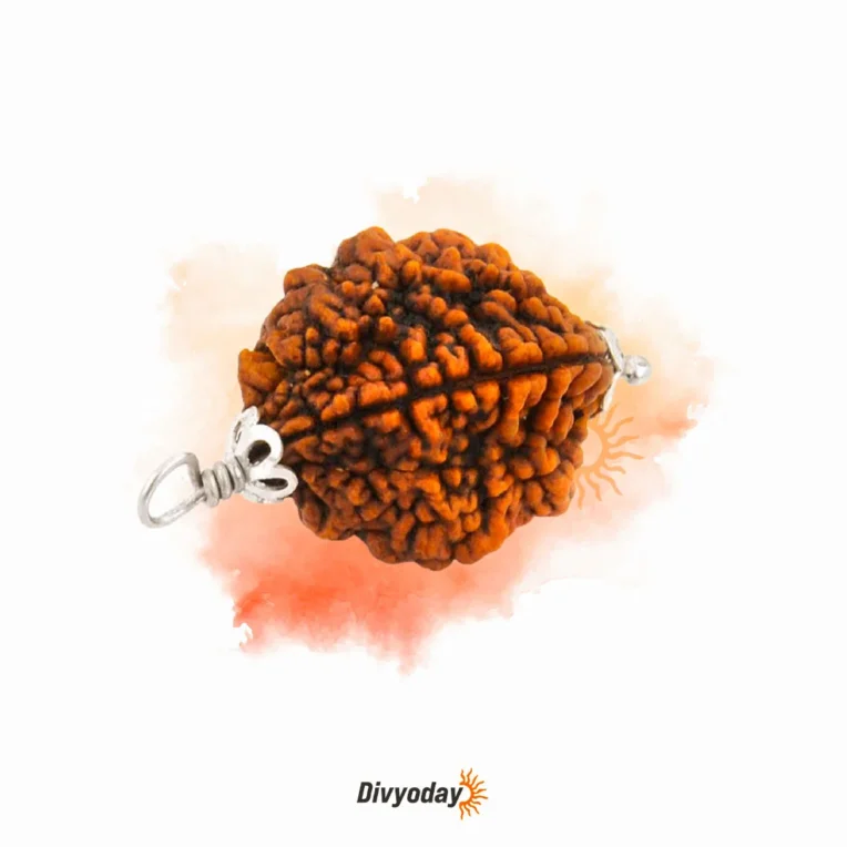 2 Mukhi Rudraksha – Strengthen Bonds and Attain Inner Harmony