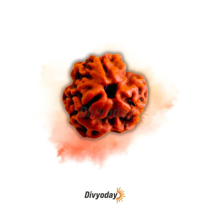 3 Mukhi Rudraksha – Embrace Positive Energy and Personal Growth