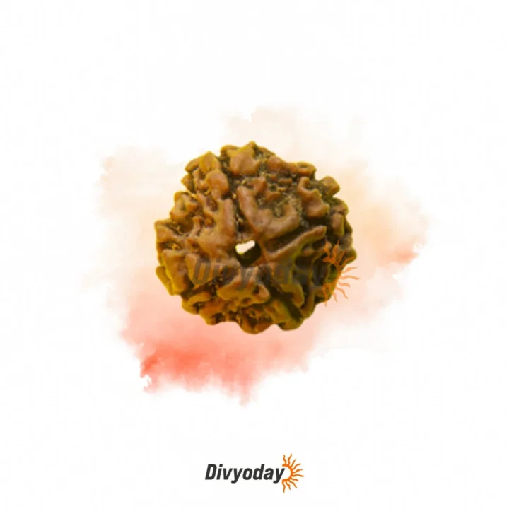 4 Mukhi Rudraksha – Enhance Knowledge, Creativity, and Communication