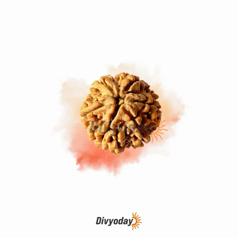 6 Mukhi Rudraksha – Experience Harmony, Creativity, and Enhanced Learning Abilities