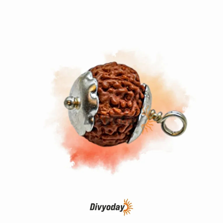 6 Mukhi Rudraksha – Experience Harmony, Creativity, and Enhanced Learning Abilities