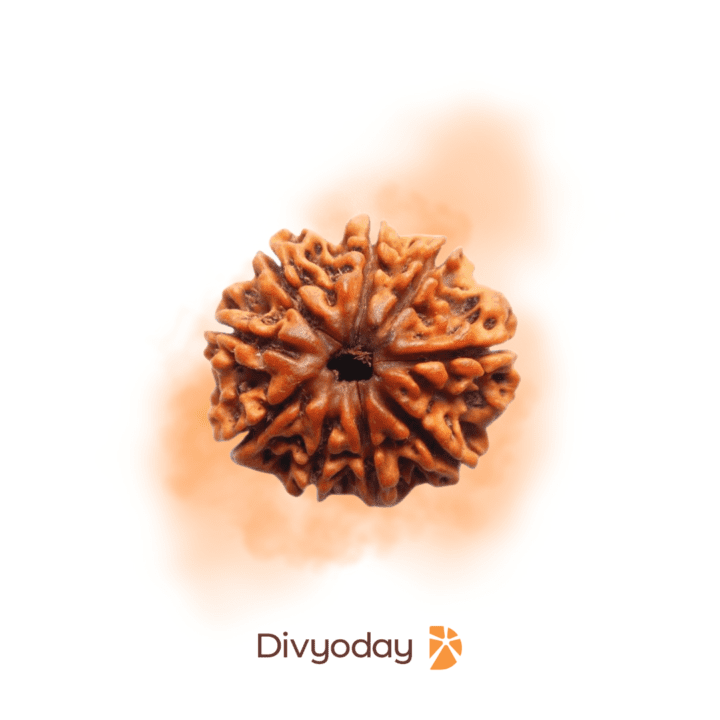 9 Mukhi Rudraksha - The Most Powerful and Sacred Bead from Nepal | Divyoday.