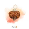 9 Mukhi Rudraksha - The Most Powerful and Sacred Bead from Nepal | Divyoday.