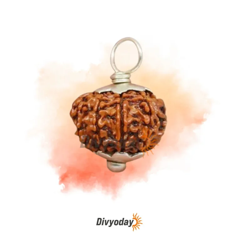 9 Mukhi Rudraksha - The Most Powerful and Sacred Bead from Nepal | Divyoday.