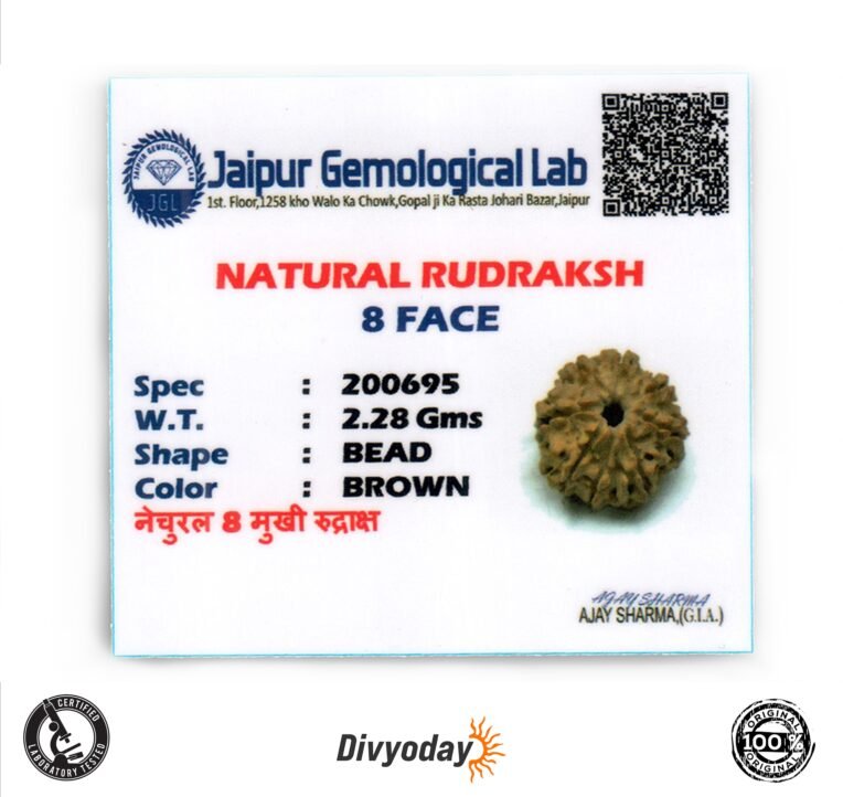 8 Mukhi Rudraksha