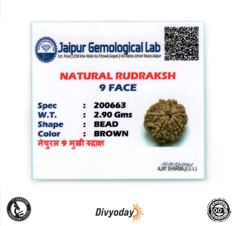 9 Mukhi Rudraksha